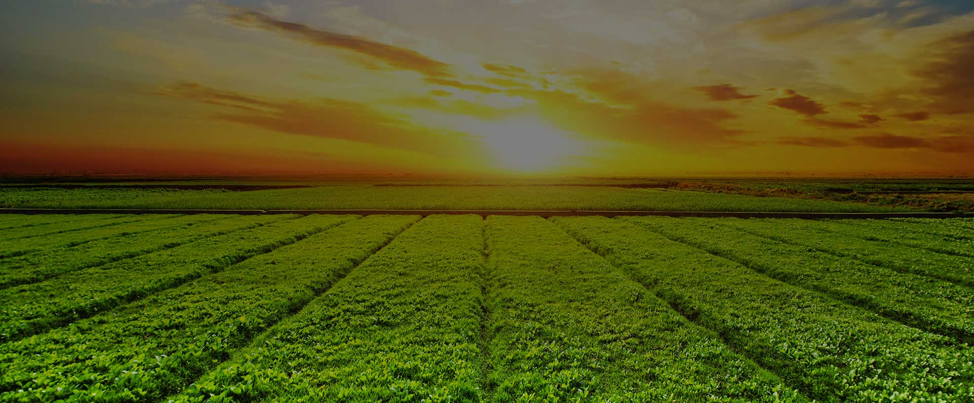 Encuentros, Conócete a ti mismo